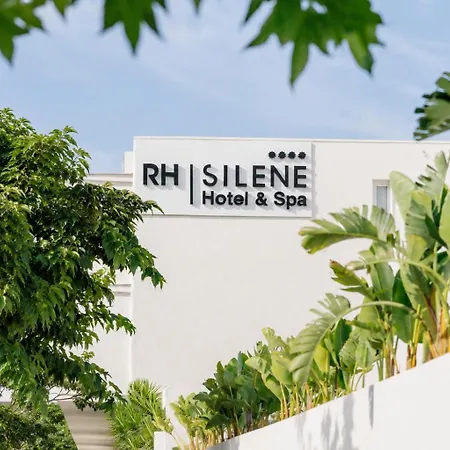 Hotel Rh Silene Hotel&spa 4 Sup Castellón de la Plana